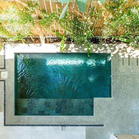 Alma Tropical - Luxury Villa Experience In Santa Teresa Playa Santa Teresa  Ngoại thất bức ảnh